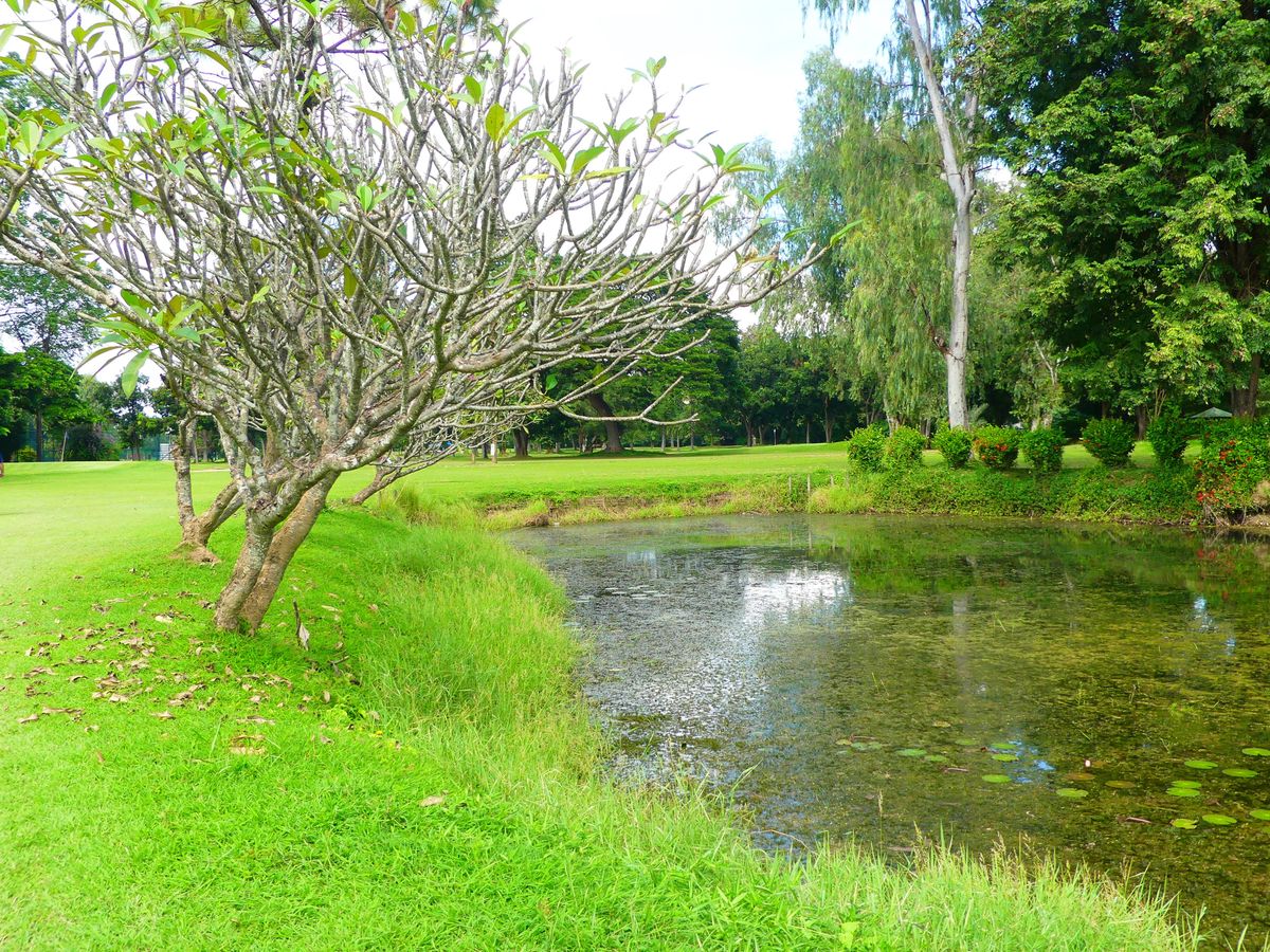 Hole 10