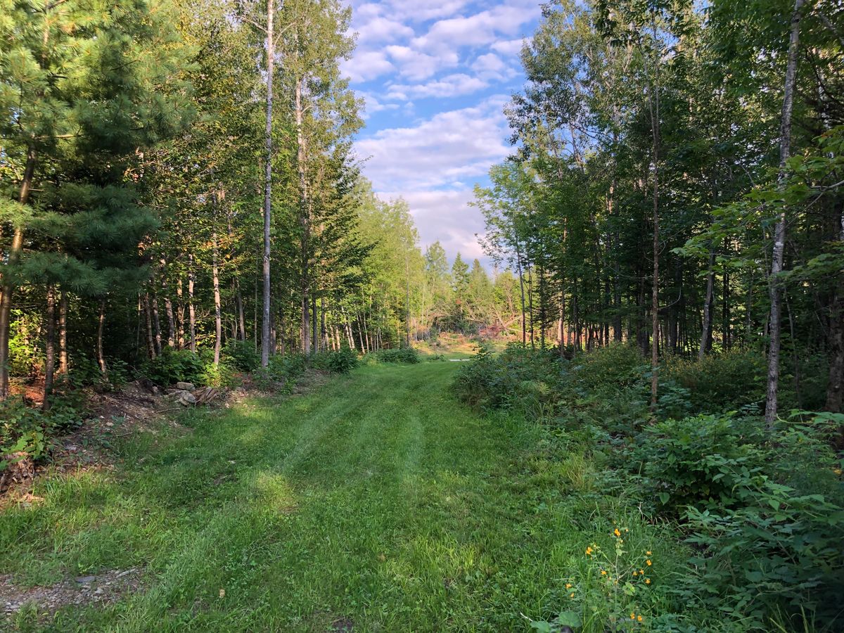 13 fairway looking back to the Tee pad