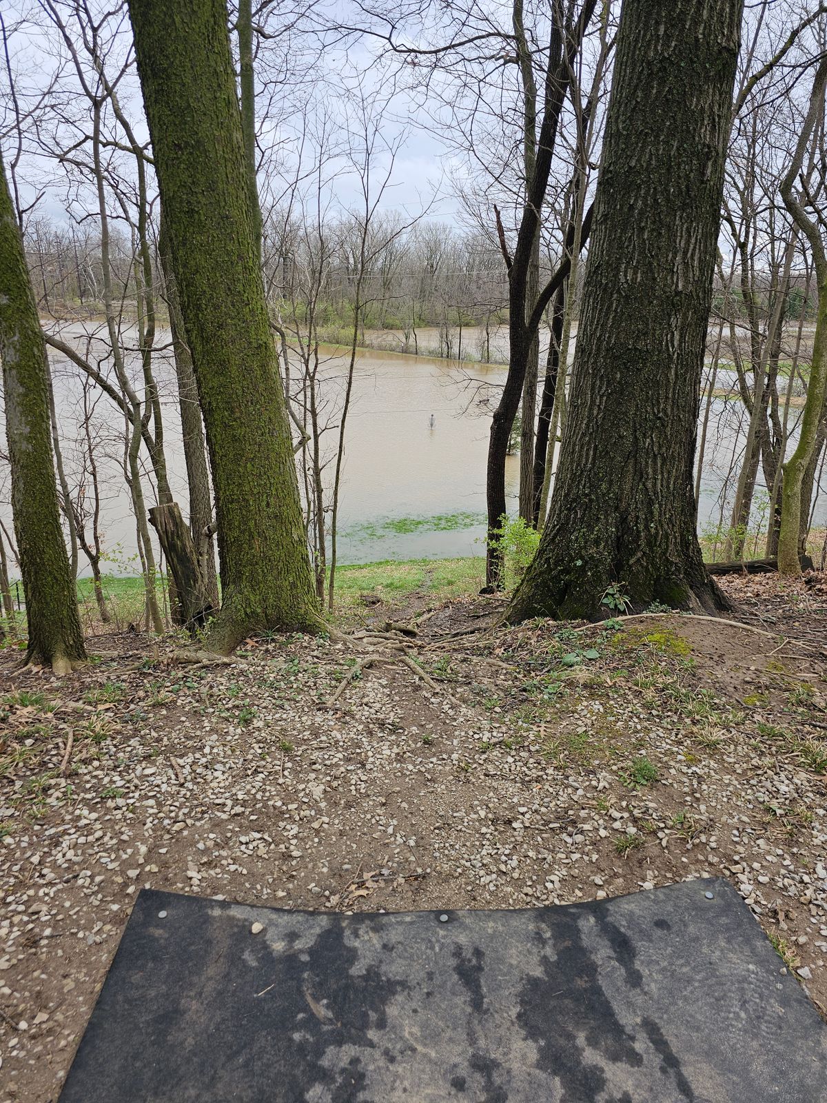 Tee Pad at 4 after rainstorm.