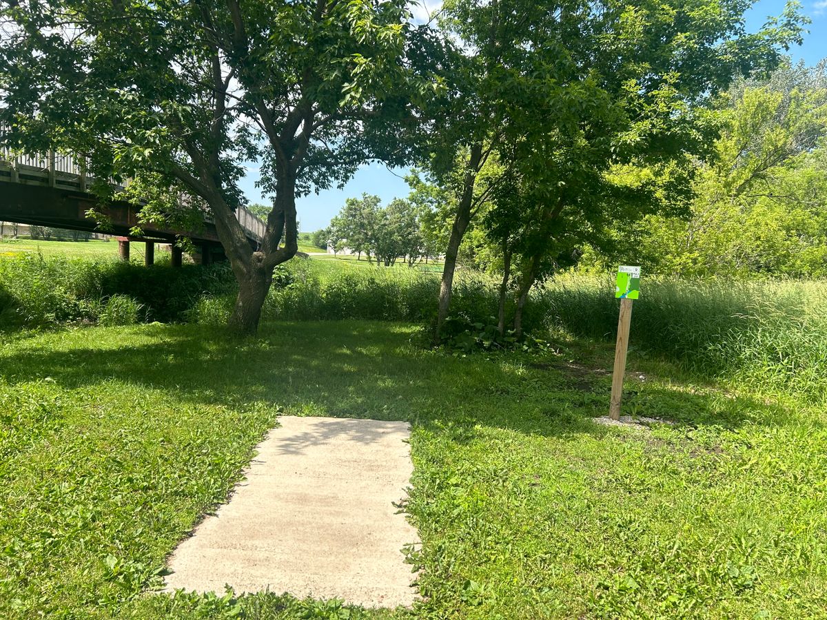 Hole 9 teepad - throwing over the creek