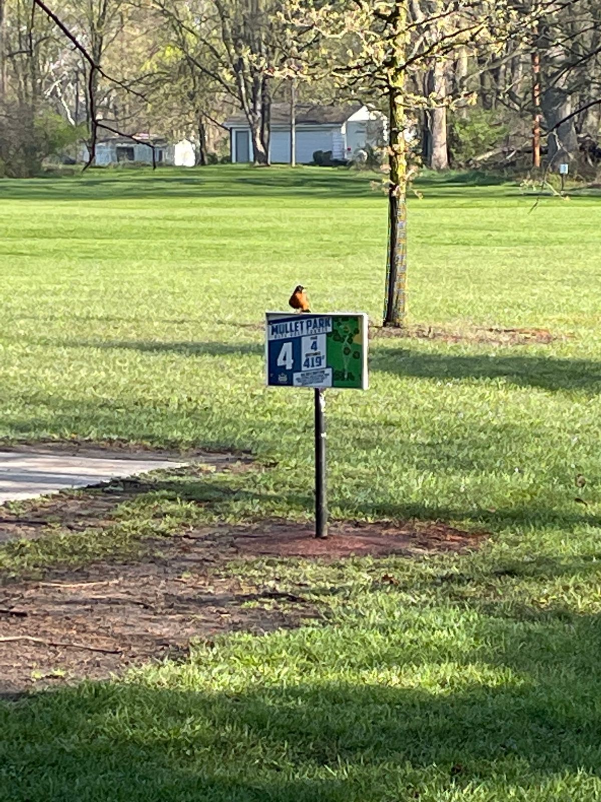 Disc golfers aren’t the only visitors to the park