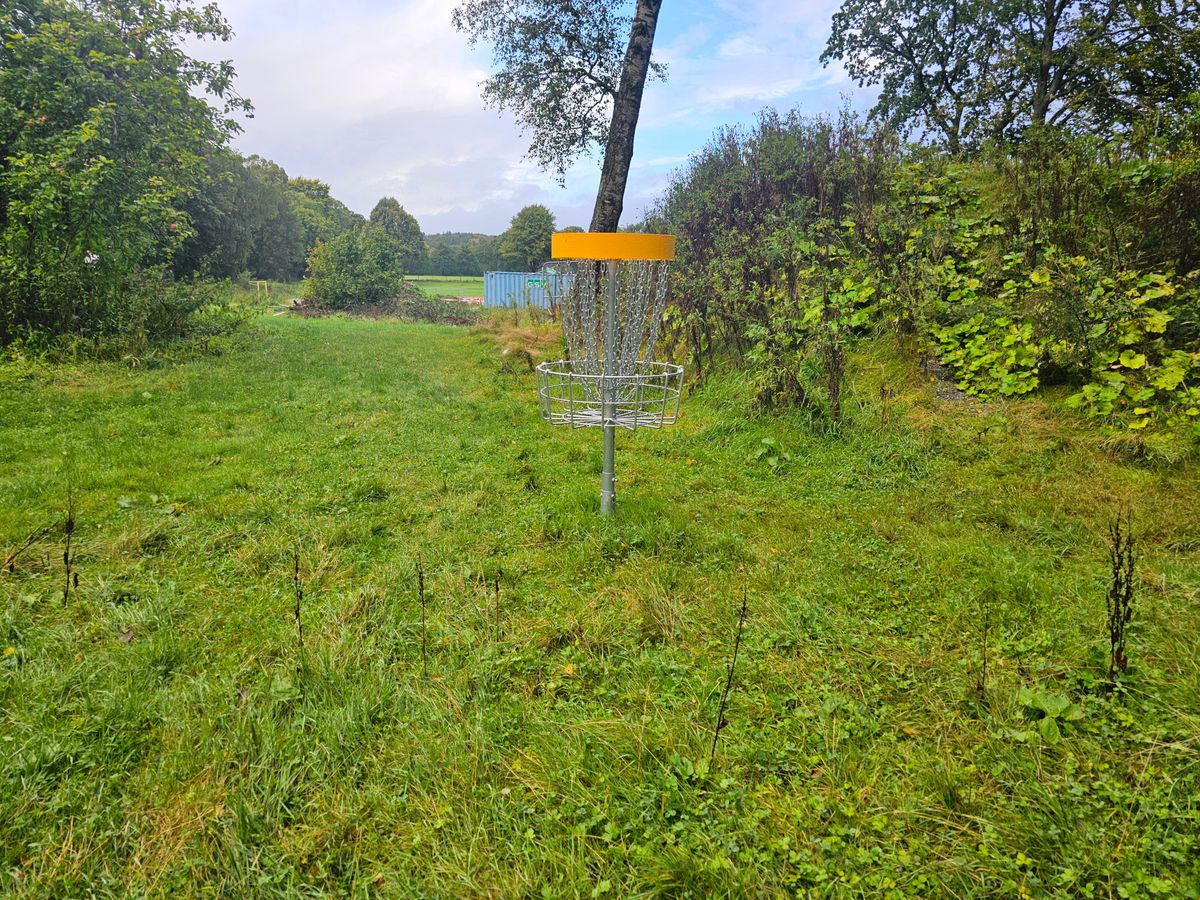 Hole 10