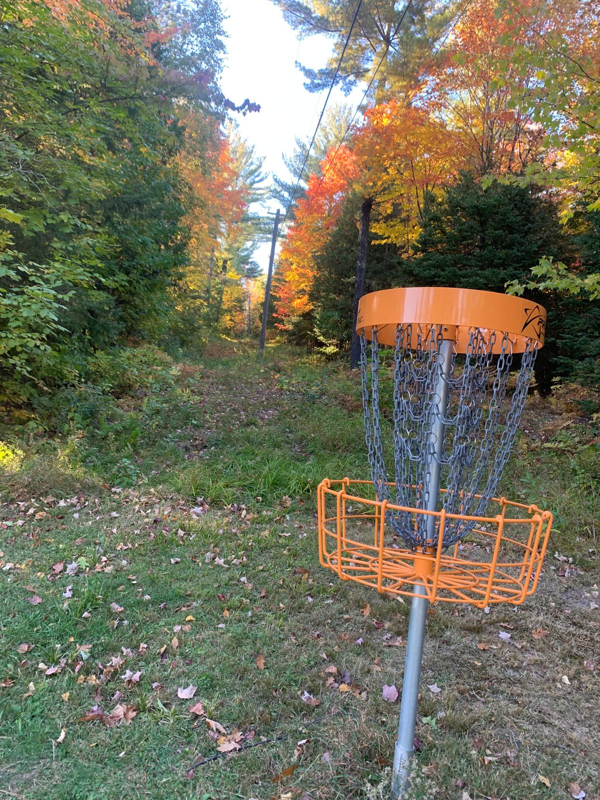 View of hole 5 looking back towards the tee area.