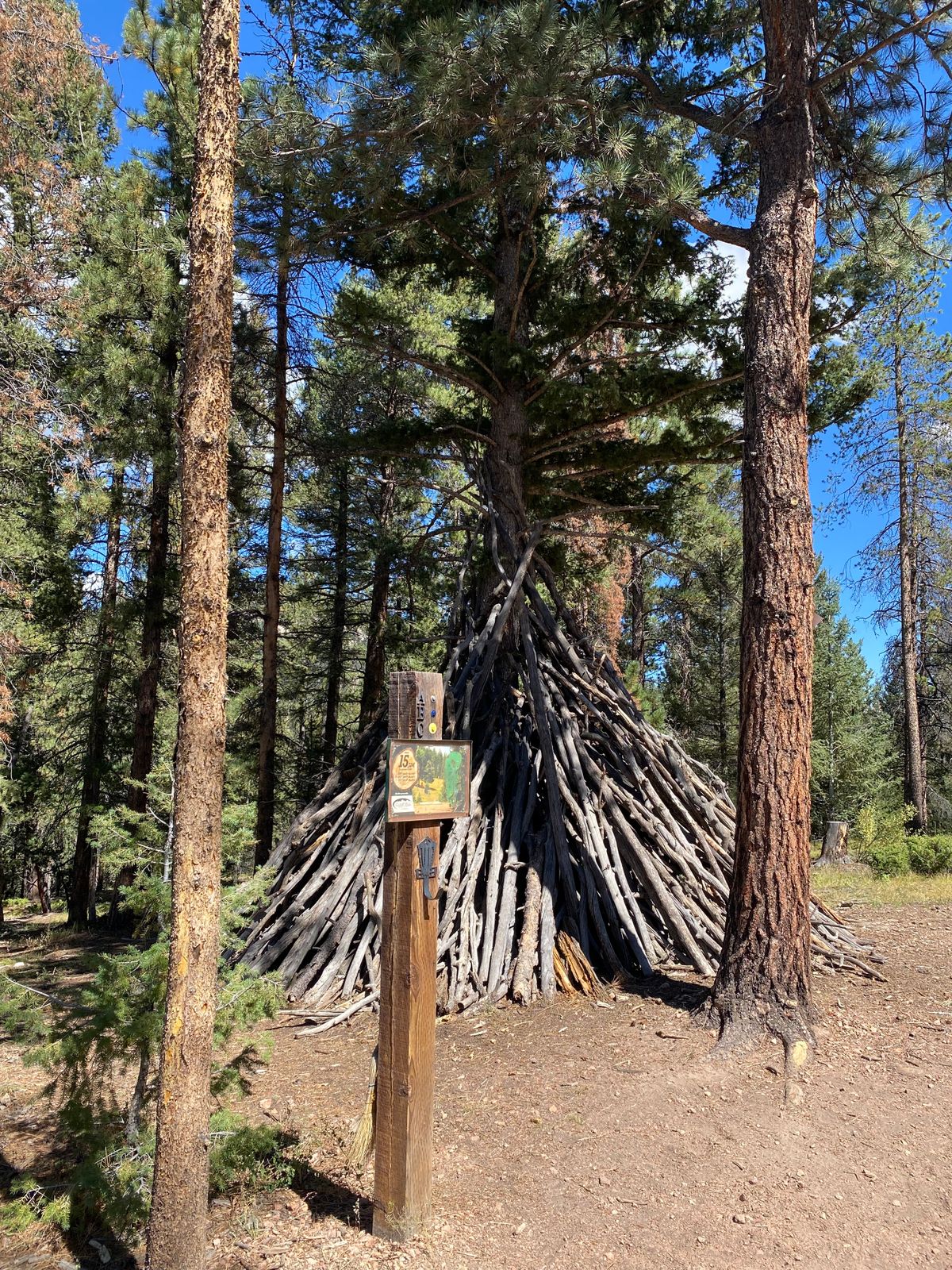 Hole 15