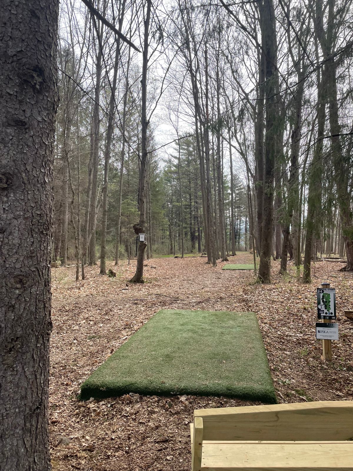 Hole 4 Blue (Long) tee.