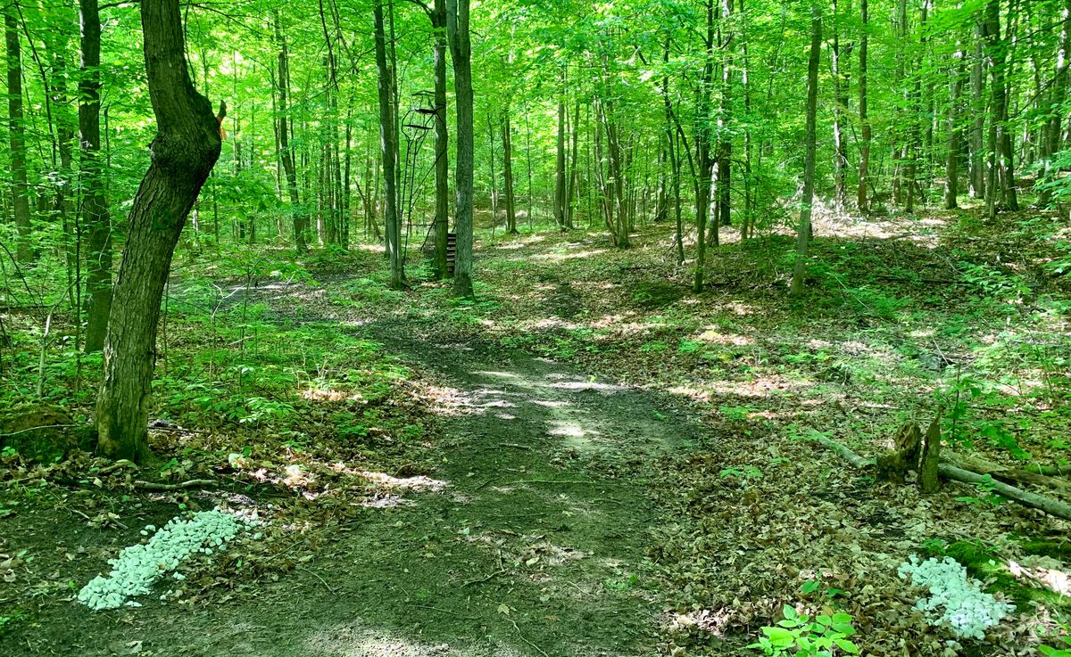 Hole 13