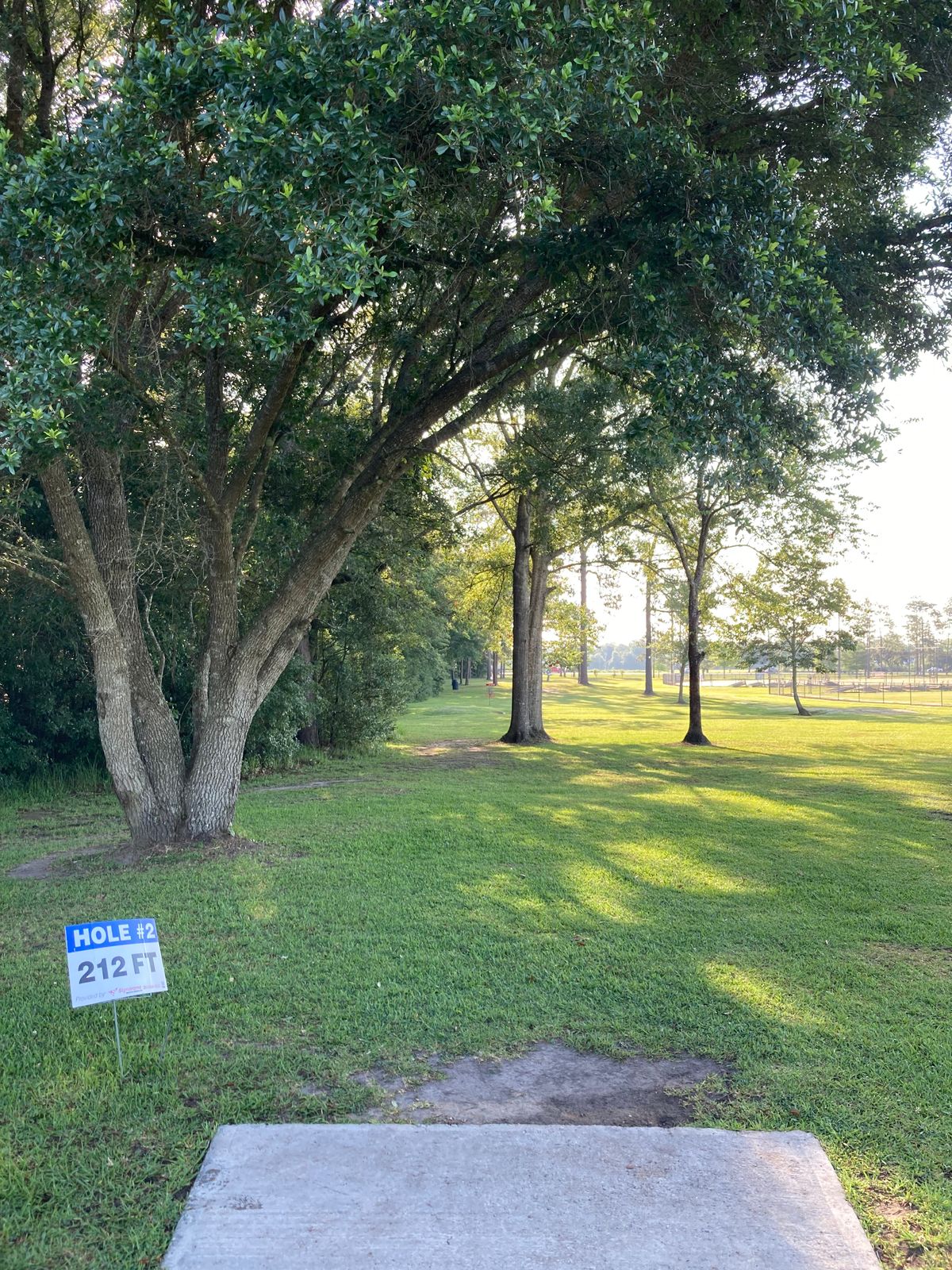 Hole #2 - fun ace run shot