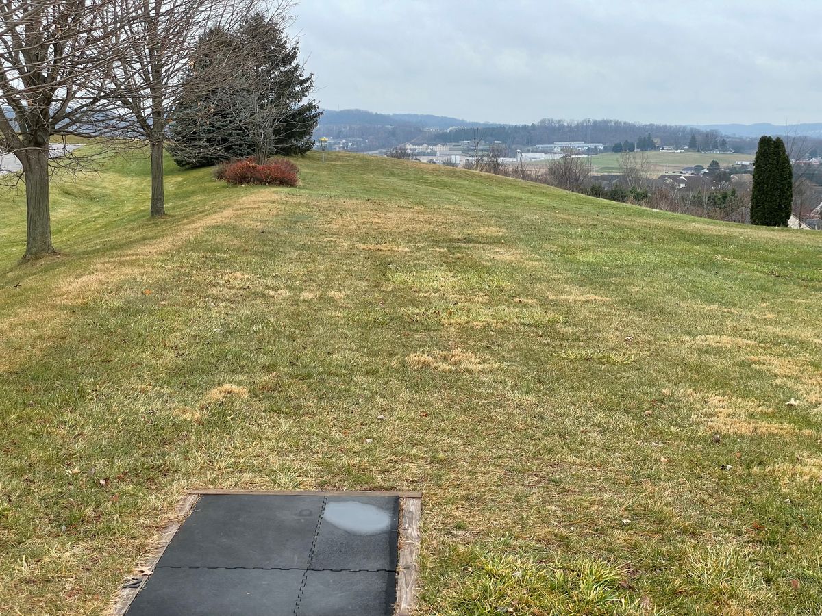 Hole 2 tee