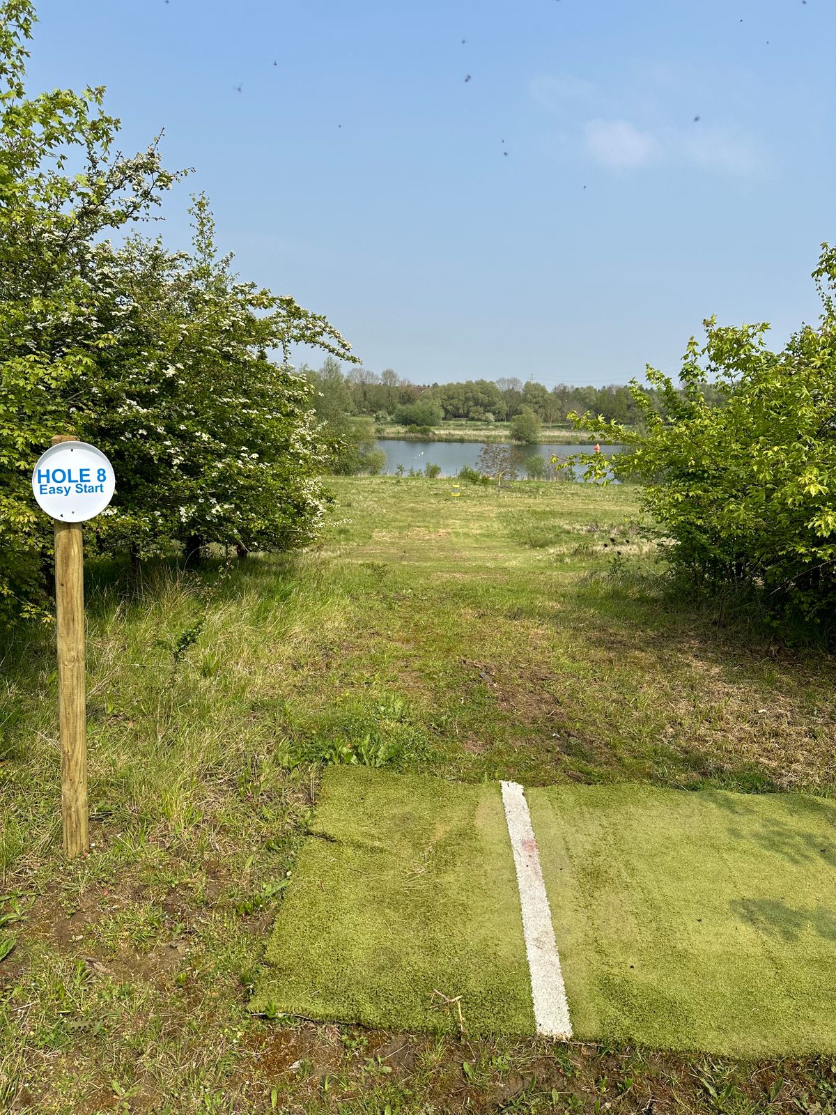 Short course hole 8 tee