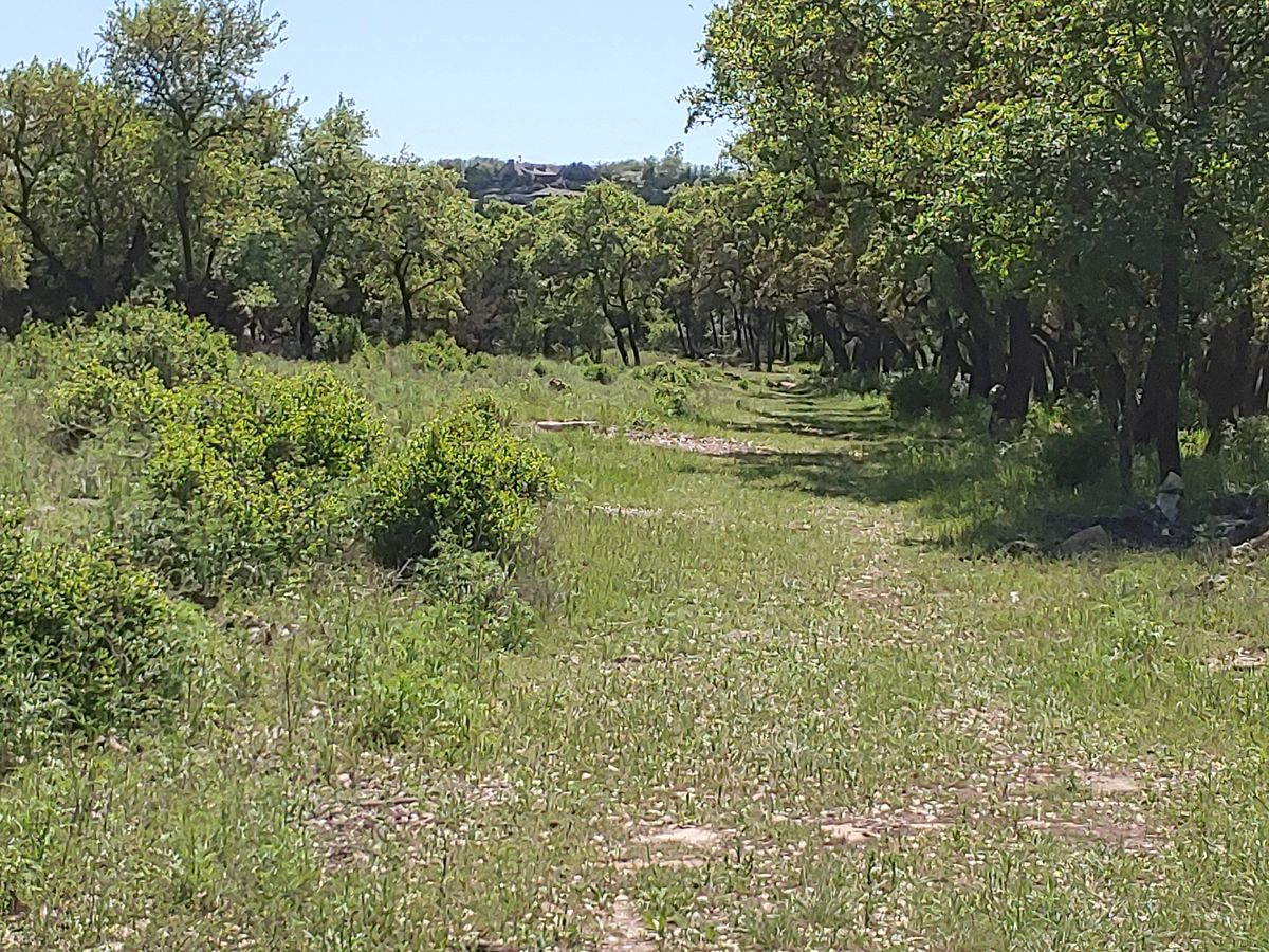 Hole 6 Tee View