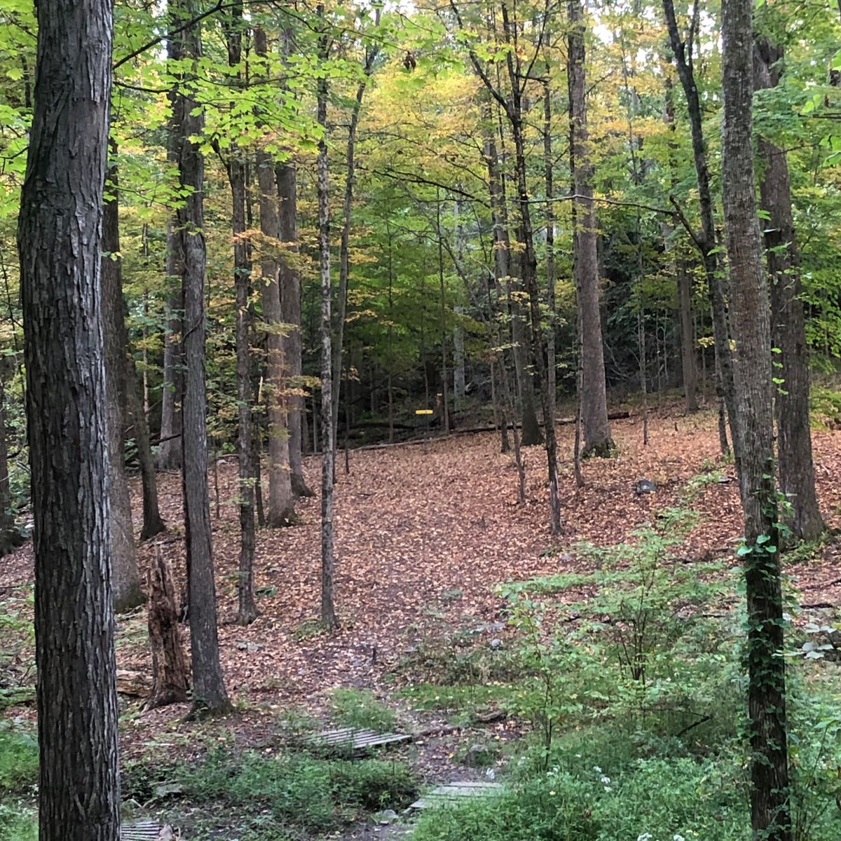 Hole 16