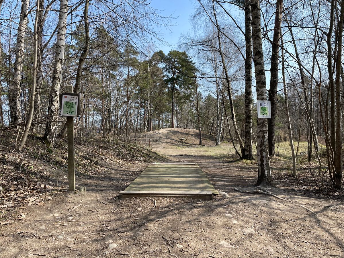 Utkast hål #2 (grön)