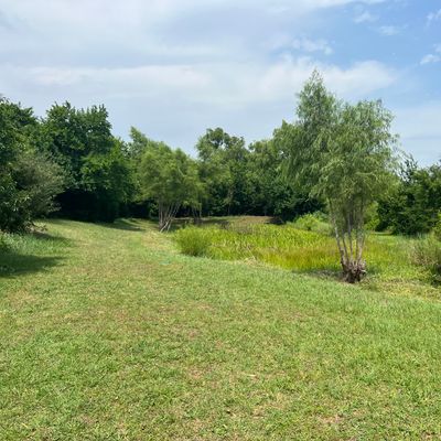 Hole 4 pond (Benbrook Behemoth)