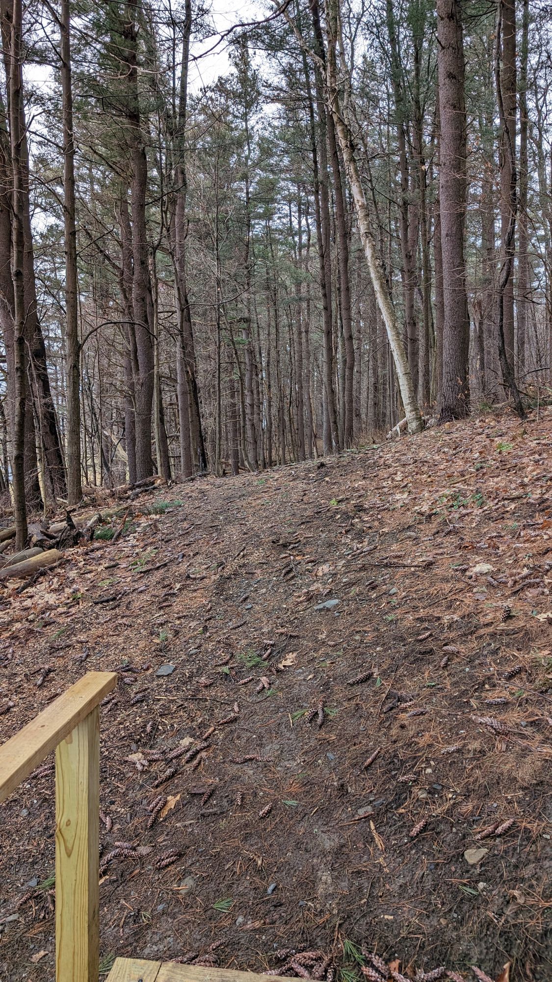 Hole 2