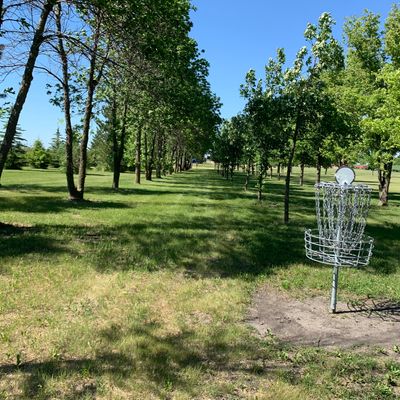 View looking back towards hole 2 tee pad.