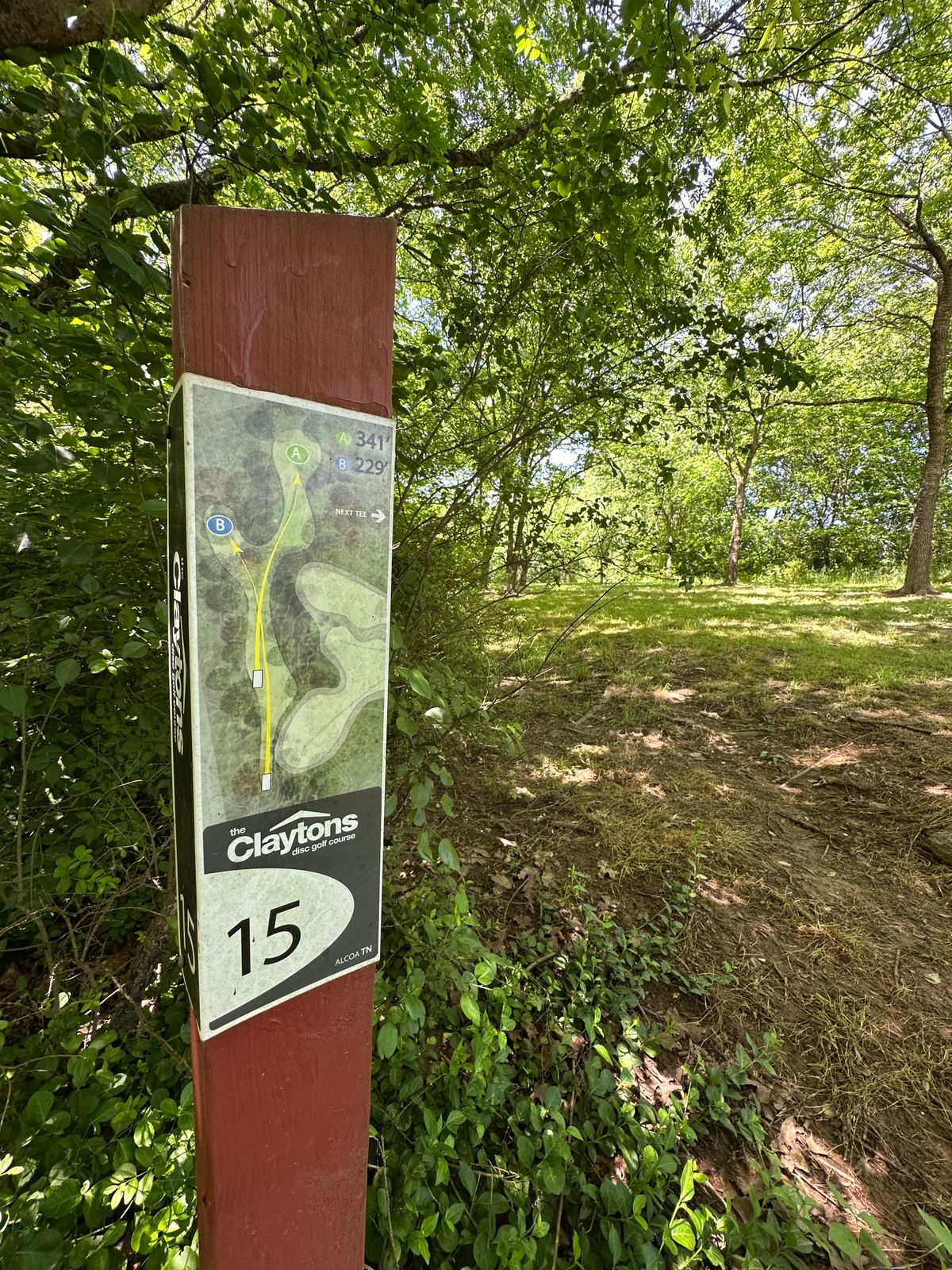 Hole 15