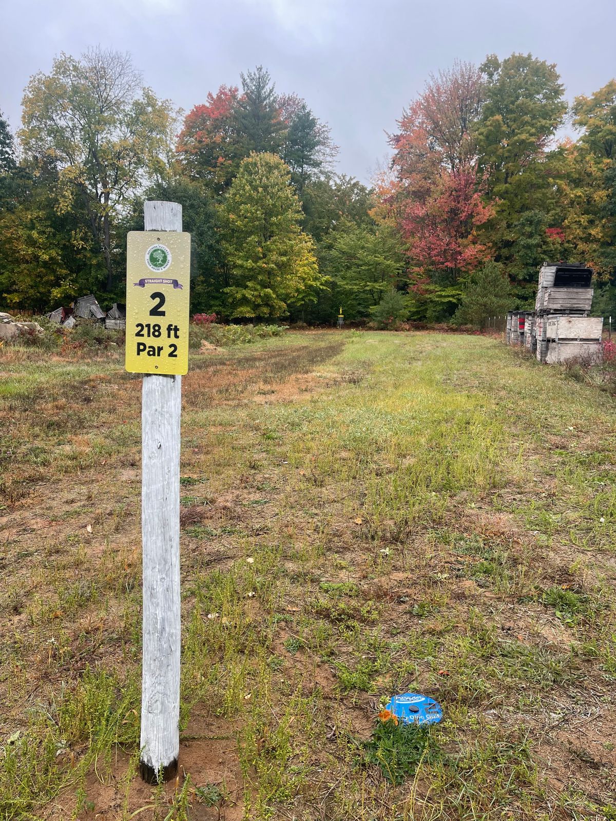 Tee pad 2