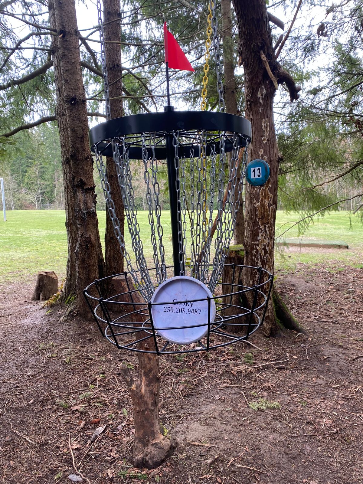 Hole 13 is a hanging basket donated by D.