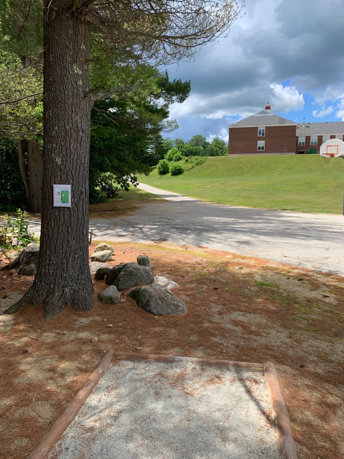 Hole 7 tee.