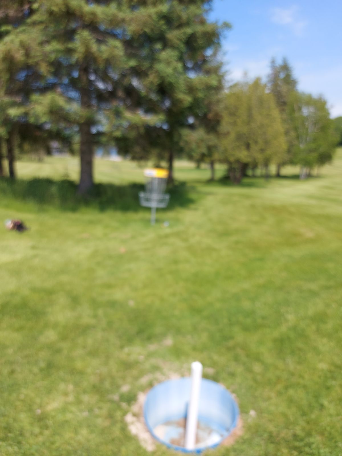 Putting on hole 6 🥏⚽️🥏⚽️🥏⚽️🥏⚽️