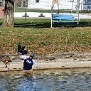 chucklingduck
