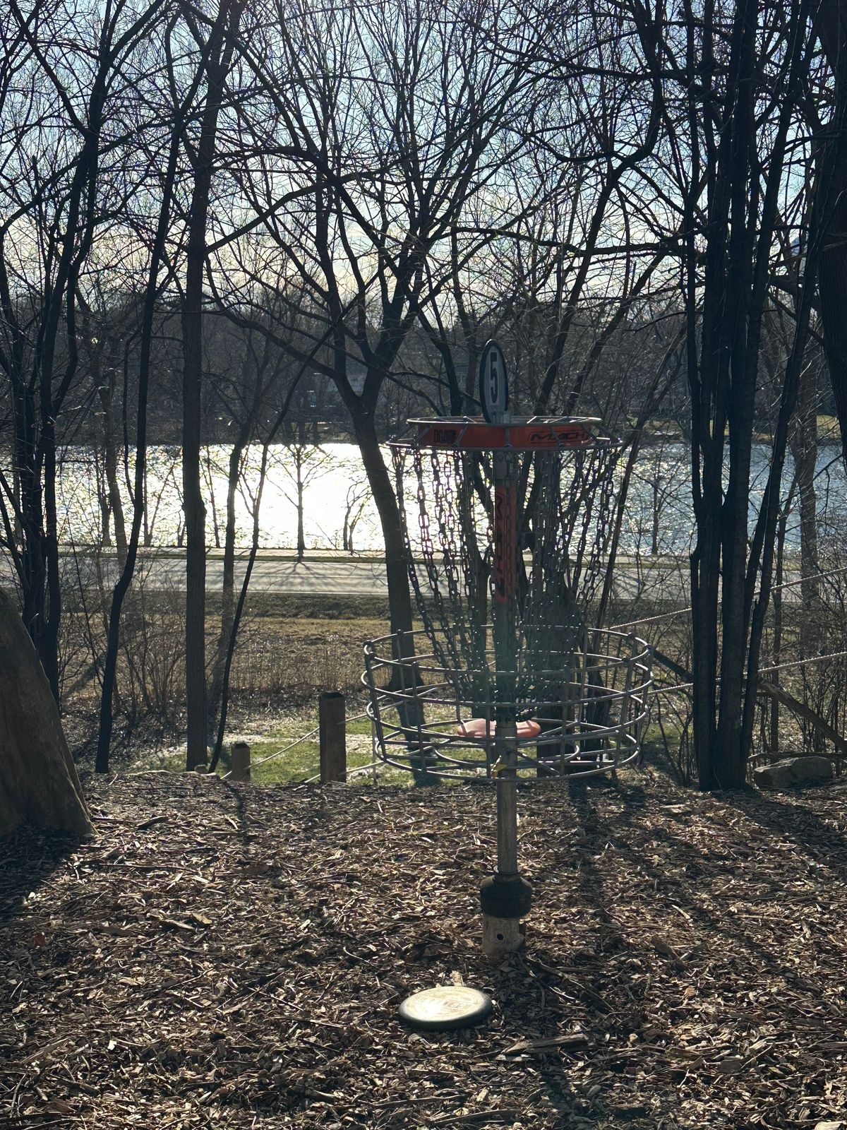 Hole 5 (Basket in A position)