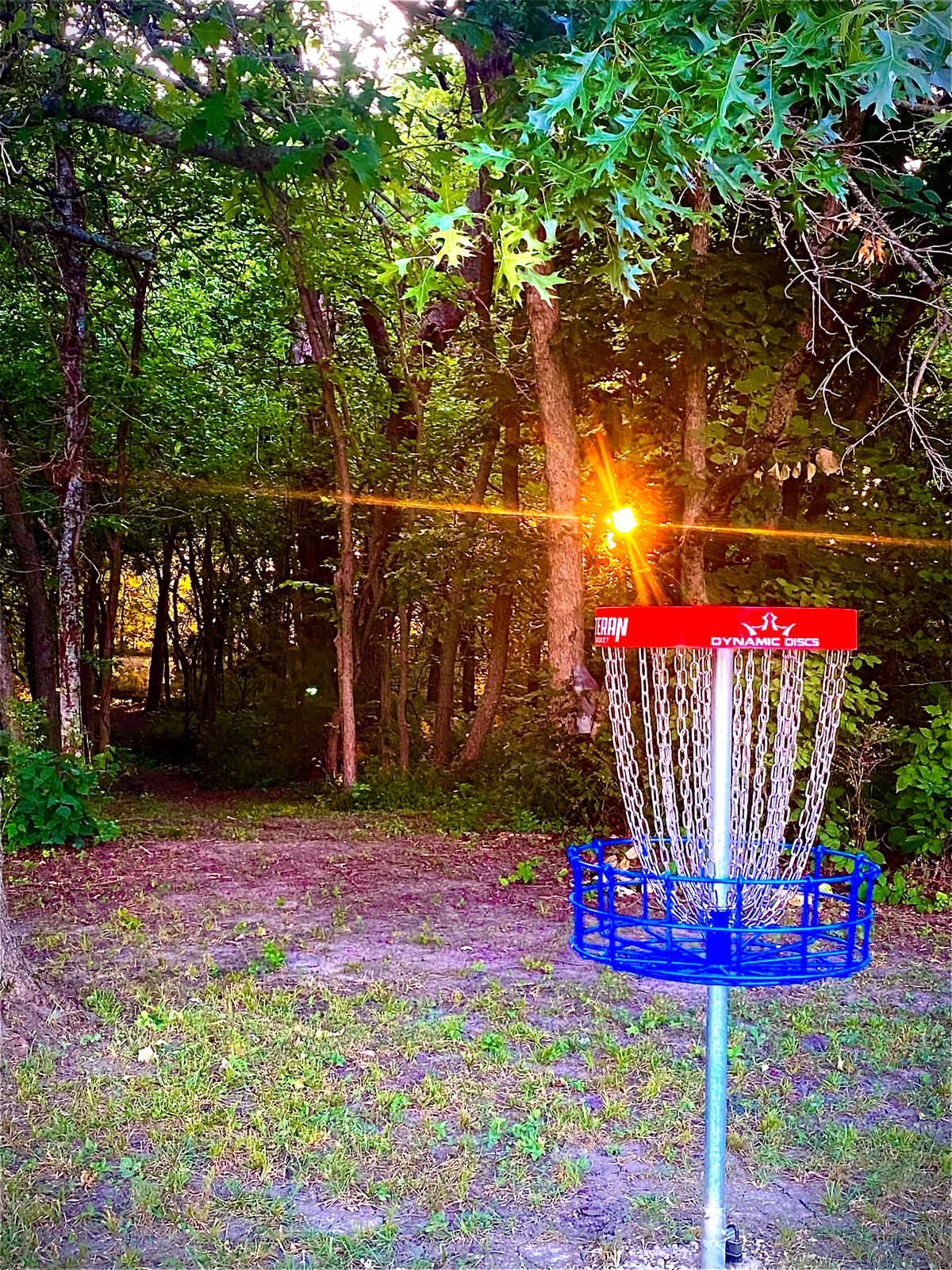 Wooded Tunnel Shot Hole #10