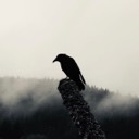 pjacksonak