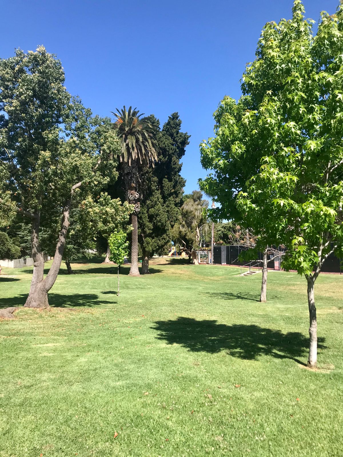 Hole #2 - Dub Mando: Between palm & tree behind. 1 stroke and drop between. OB right of walking path