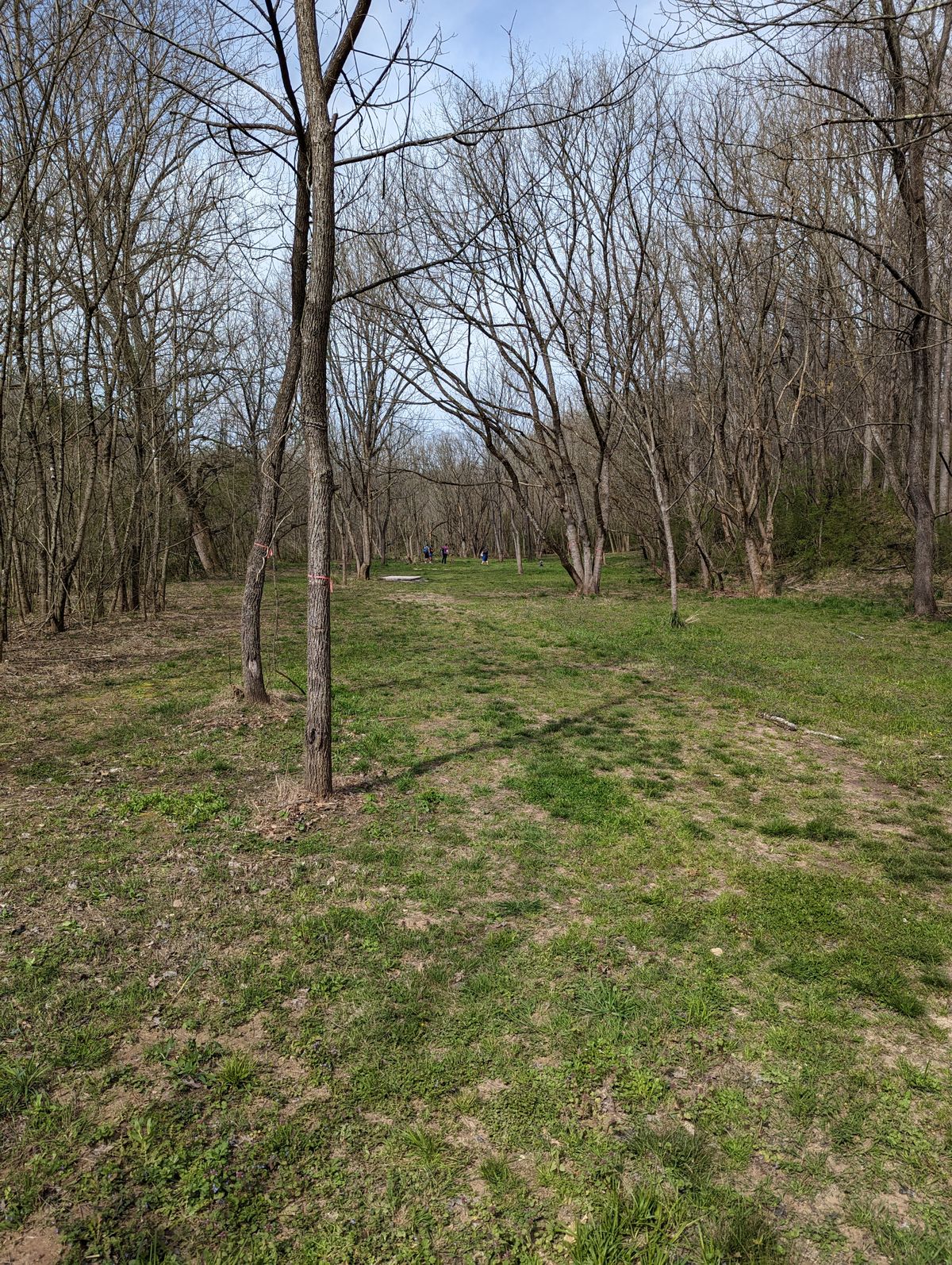 Hole 16, long tee