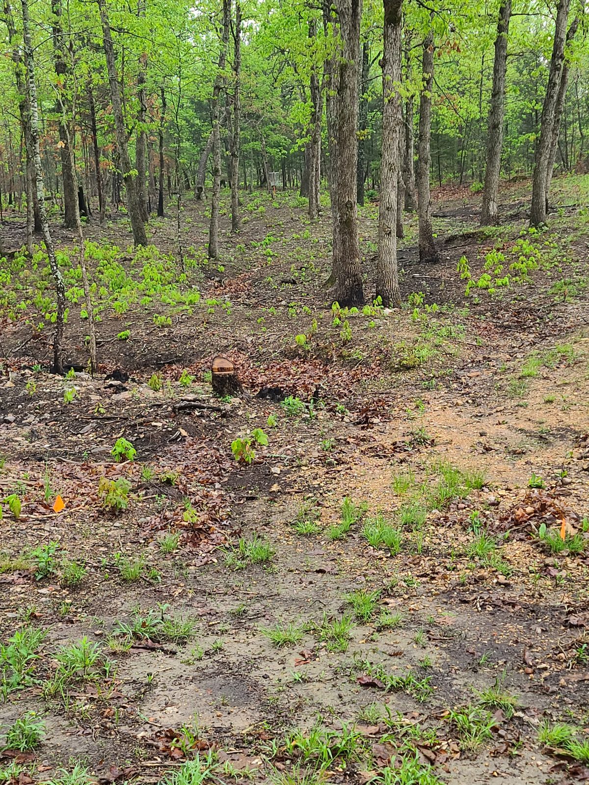 Hole 2 E pad