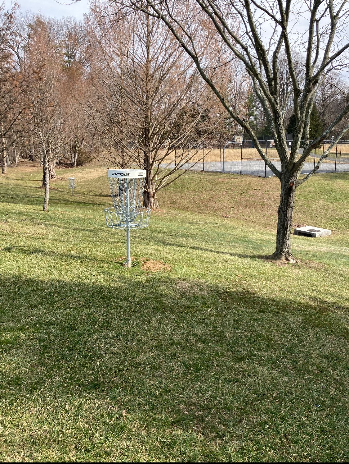 Hole 6 Basket