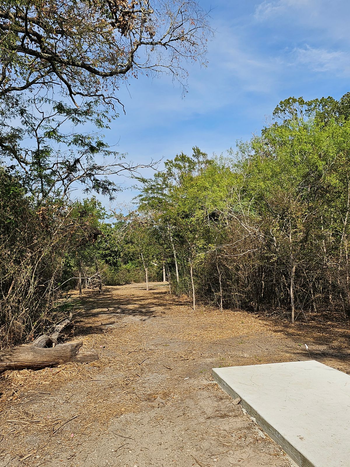 Hole 15 Tee