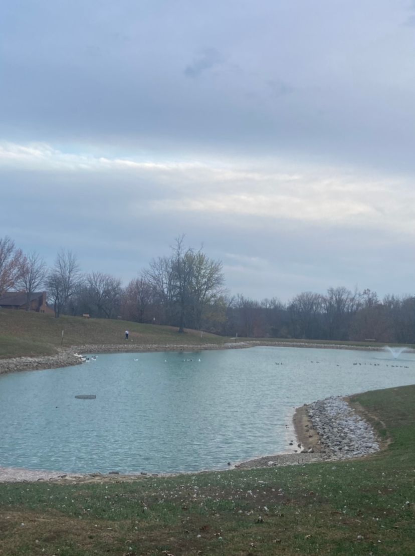 View of the lake