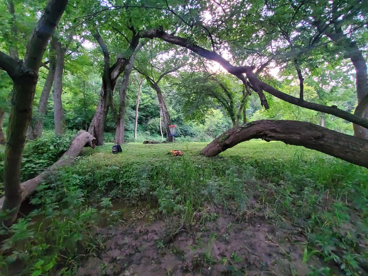 Green of 15