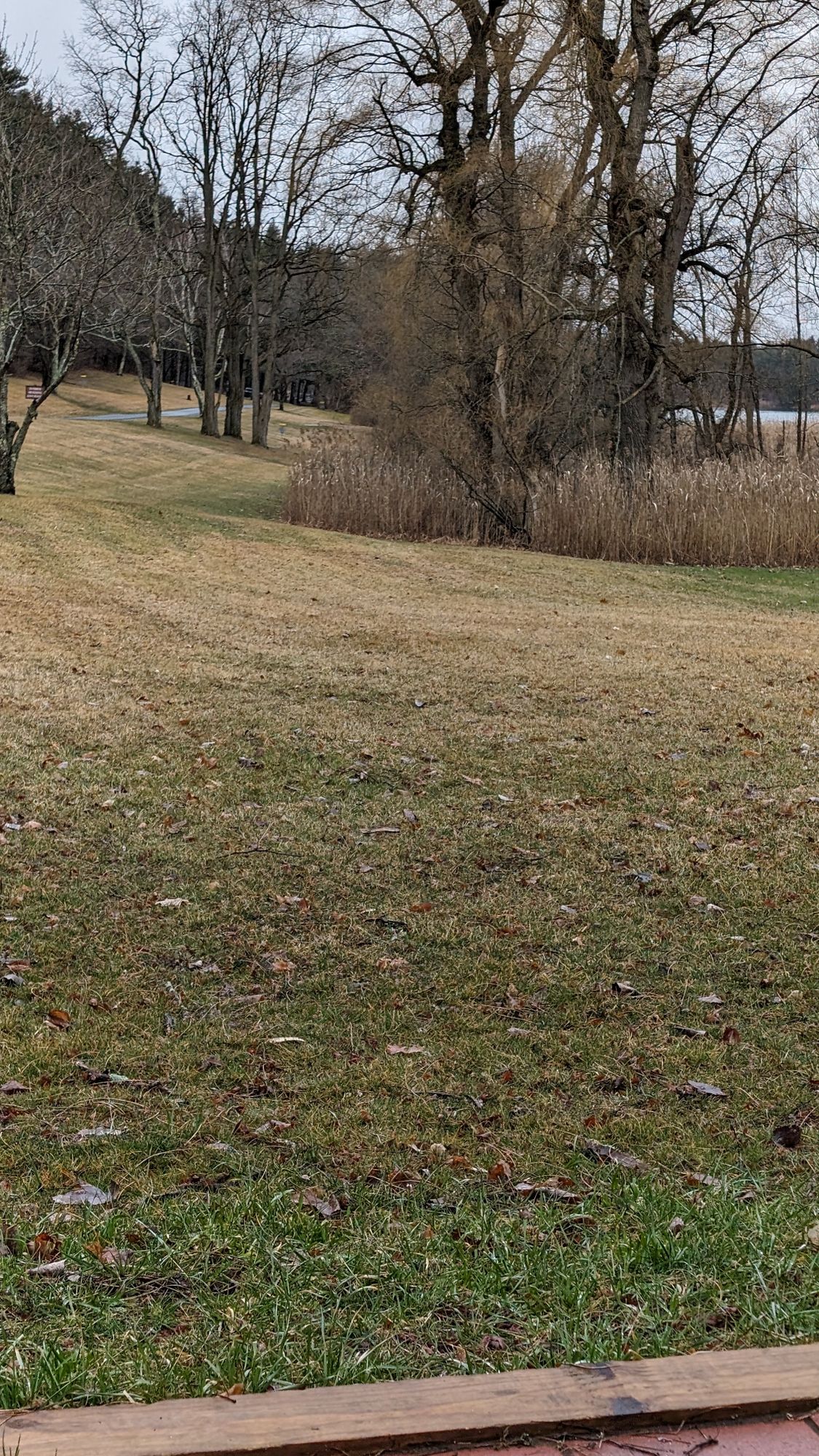 Hole 8