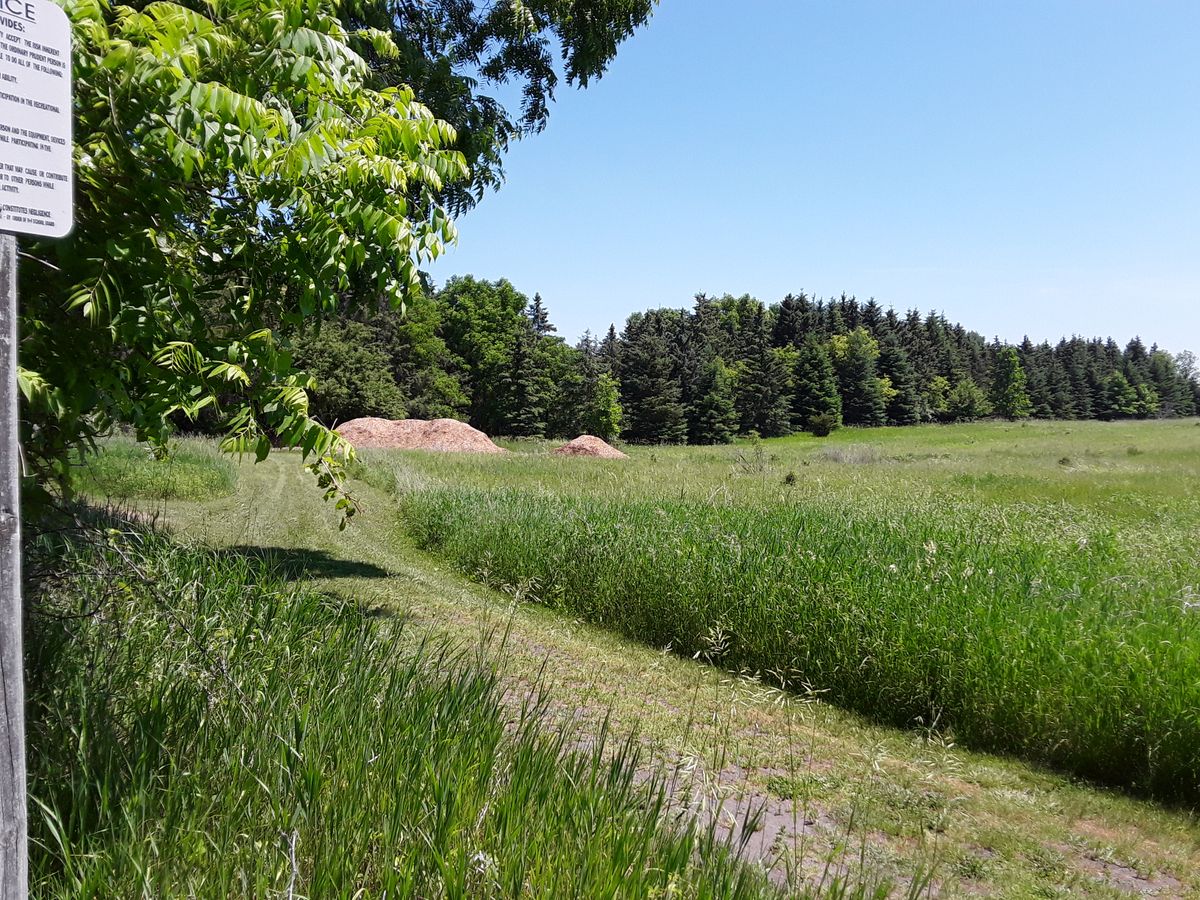Hole 2 - Red tee