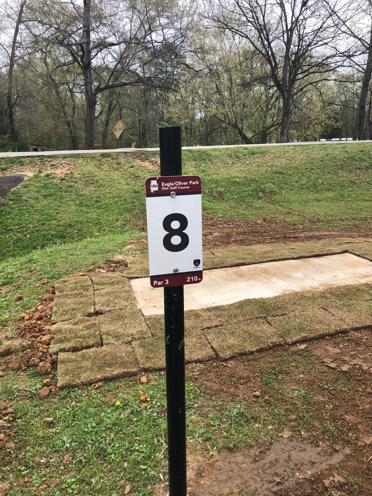 Hole 8