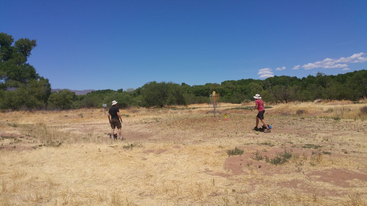 Approaching the basket for Hole 12