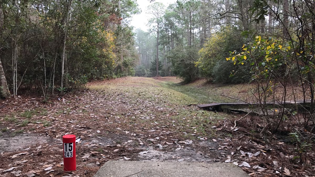 Hole 15