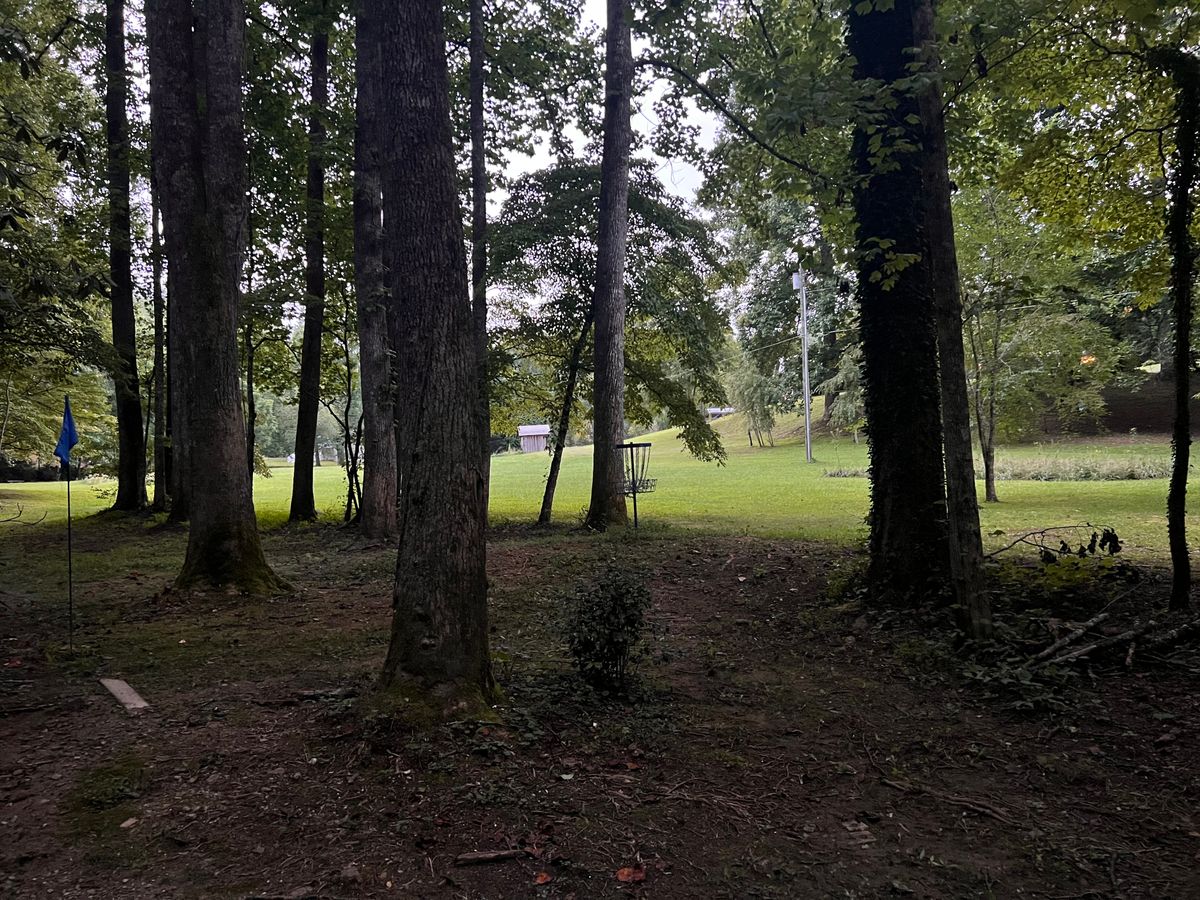 Hole 2 basket.