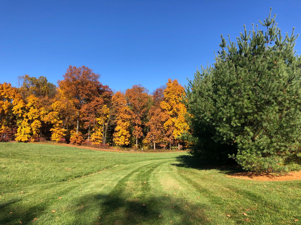 Hole 9 - Walking down 9’s fairway. Oct 29 2022