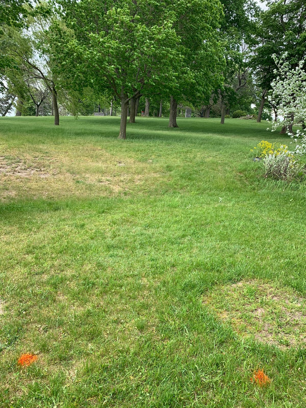 Hole 6 red and white tee