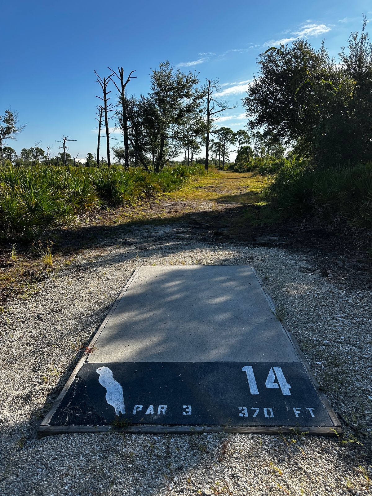 Current tee location 10/2025. 370 ft to basket from front of tee