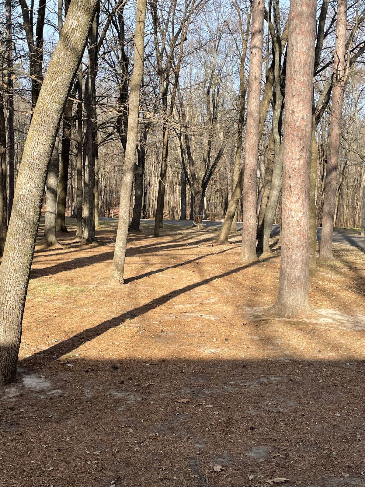 Hole 1