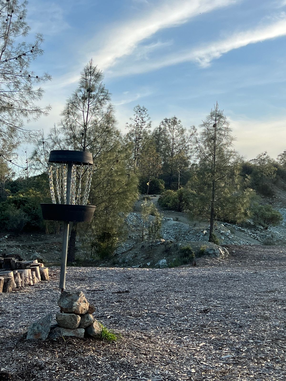 Hole 4 basket with view of island/fairway
