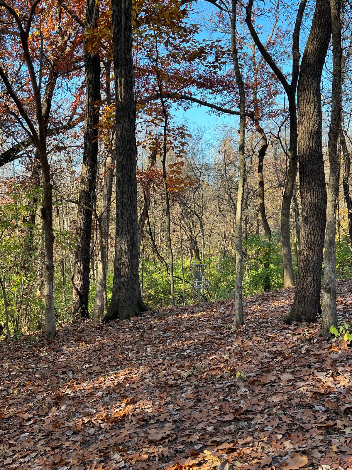 Hole 6 B Pin