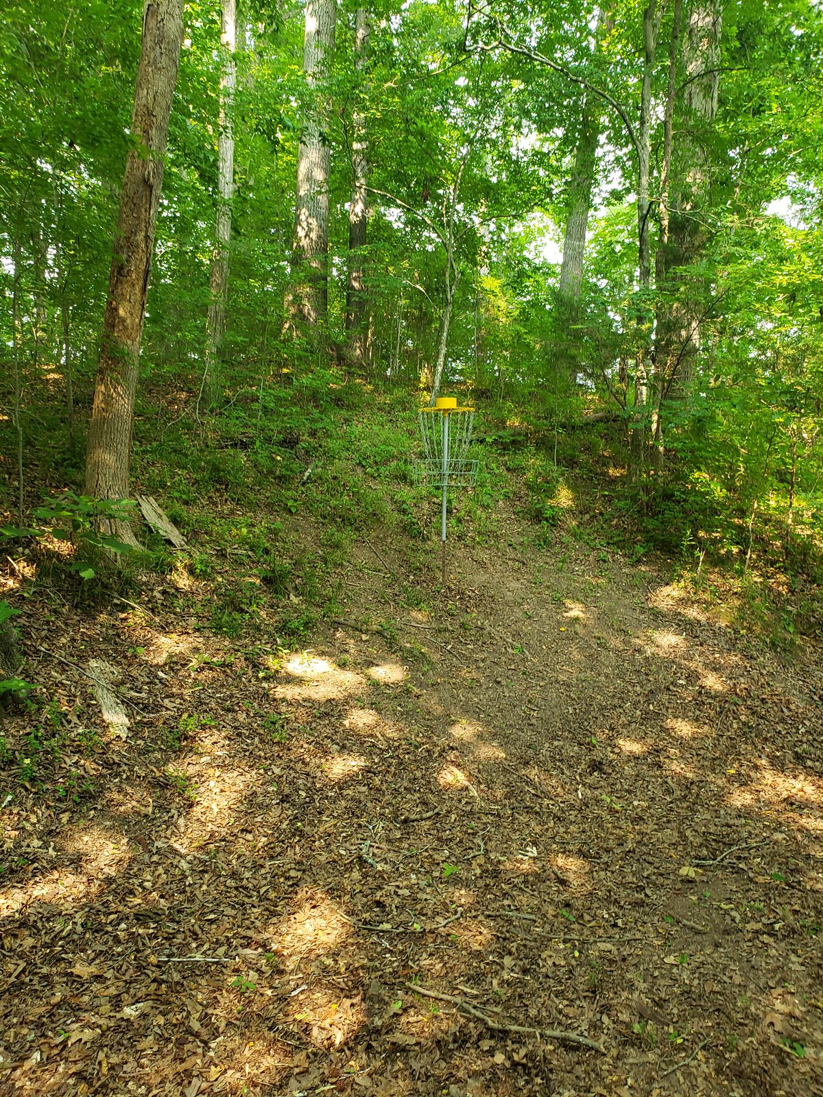 Hole 17 basket