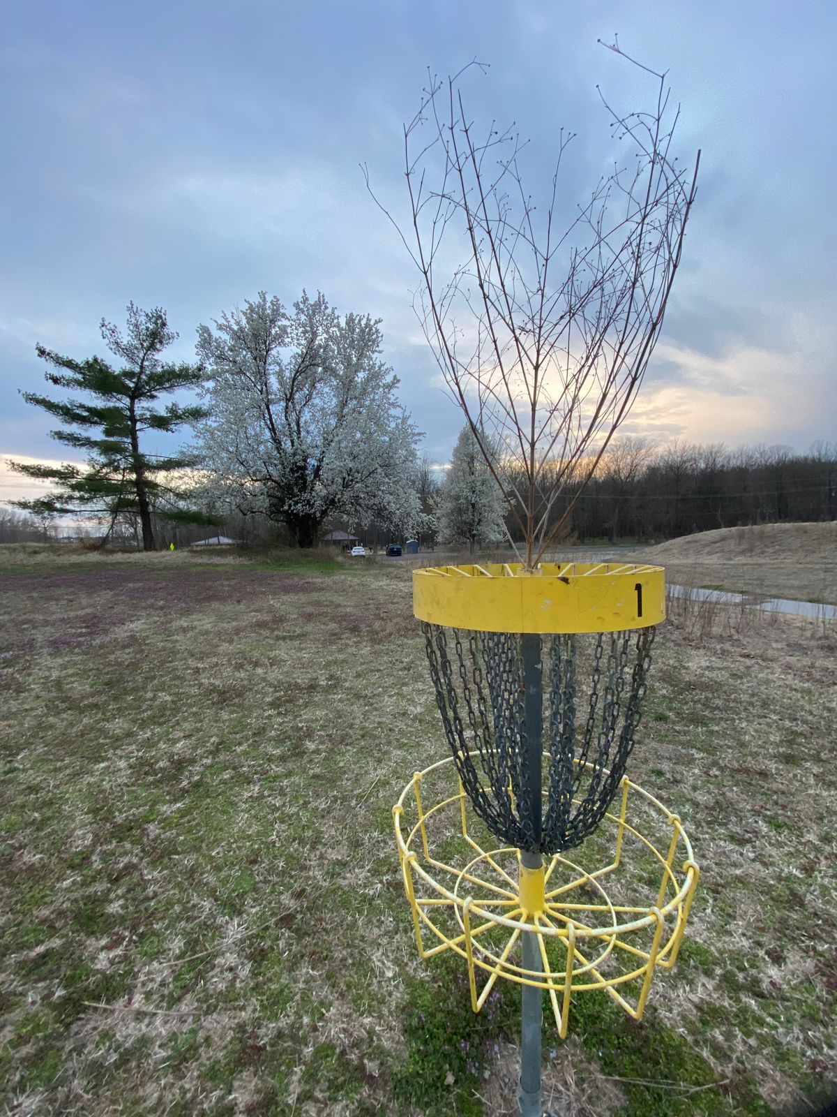 Hole #1