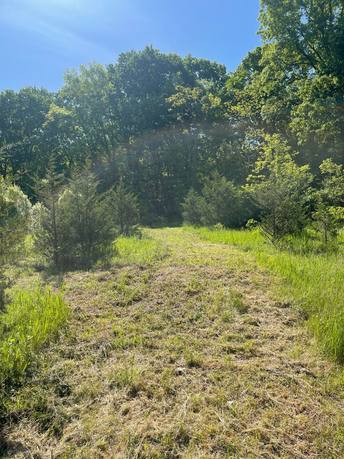 Hole #1 fairway